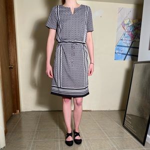 THE LIMITED dress TALL